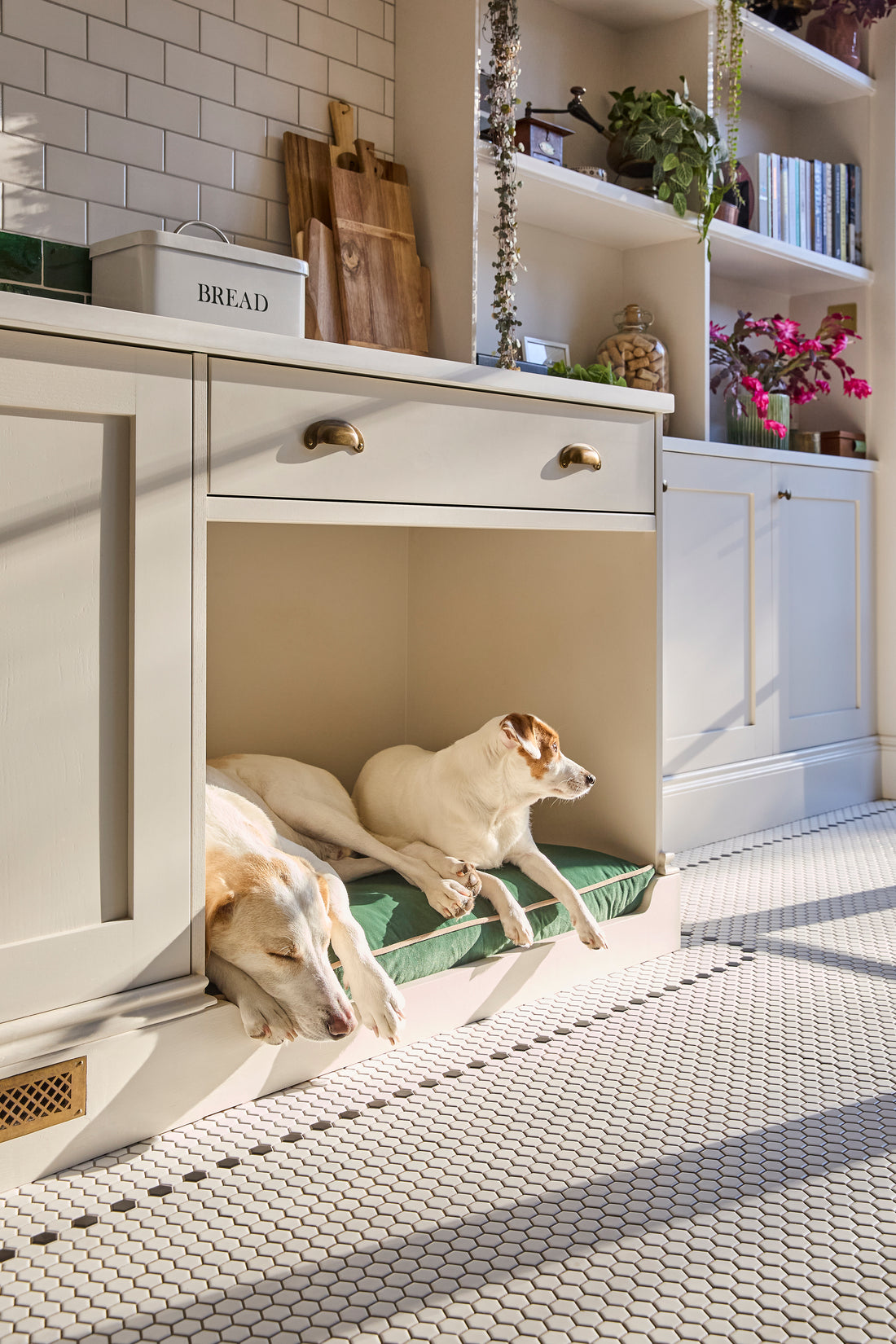 Bespoke by Kika | Your Dog. Your Home. Your Bed. | Made to Order