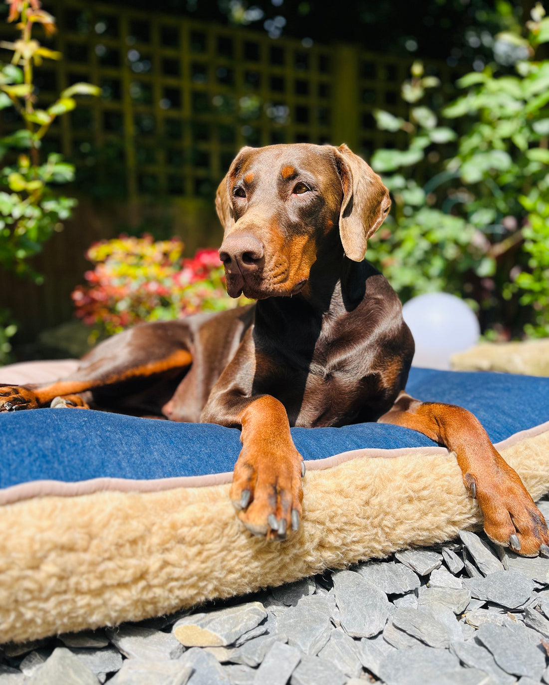 Handmade Luxury Denim & Wool Dog Bed | Summer & Winter Reversible | 3 Sizes