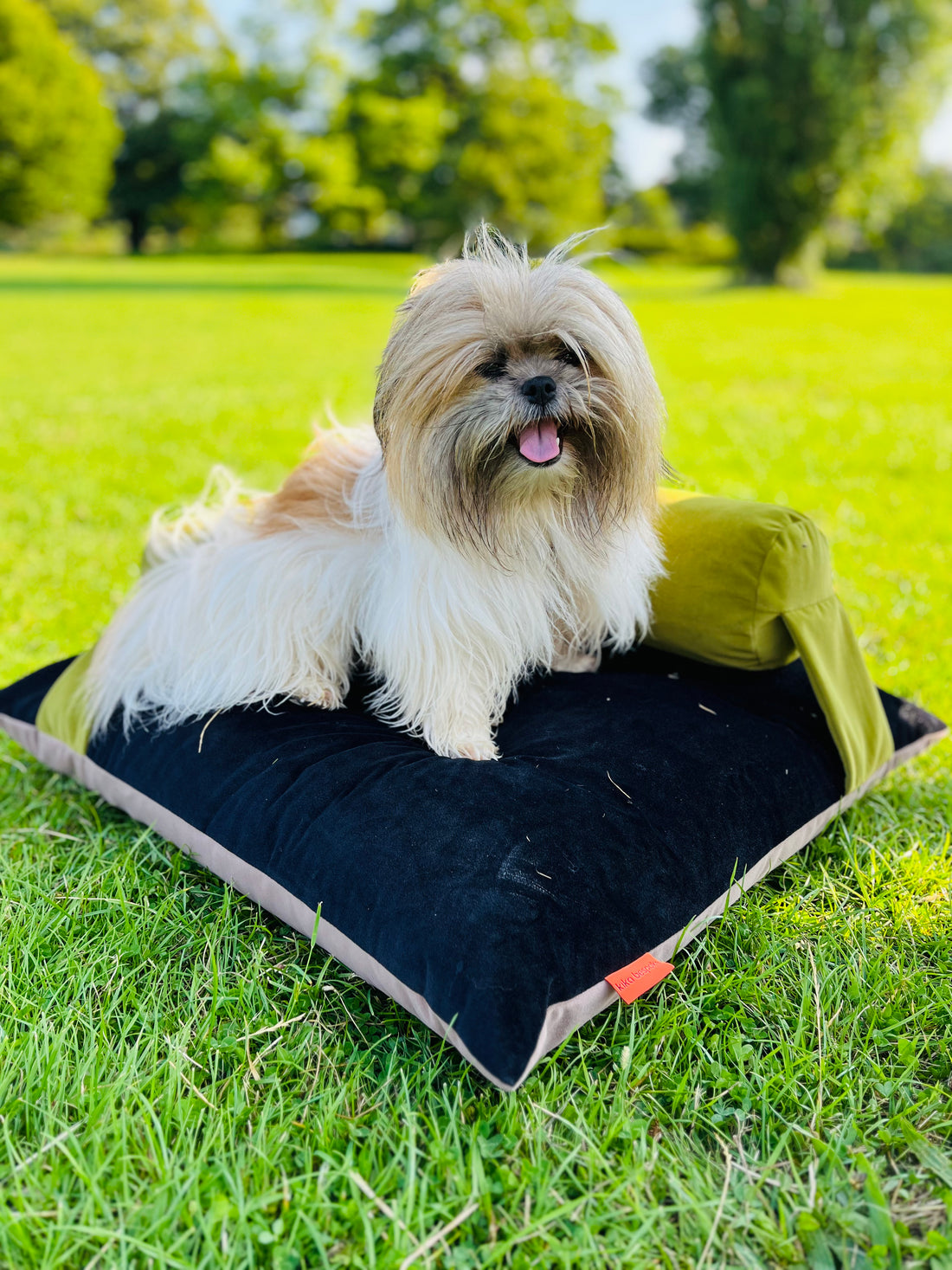 K-9 CANDY BED - REVERSIBLE DESIGN - LIME / BLACK / STONE