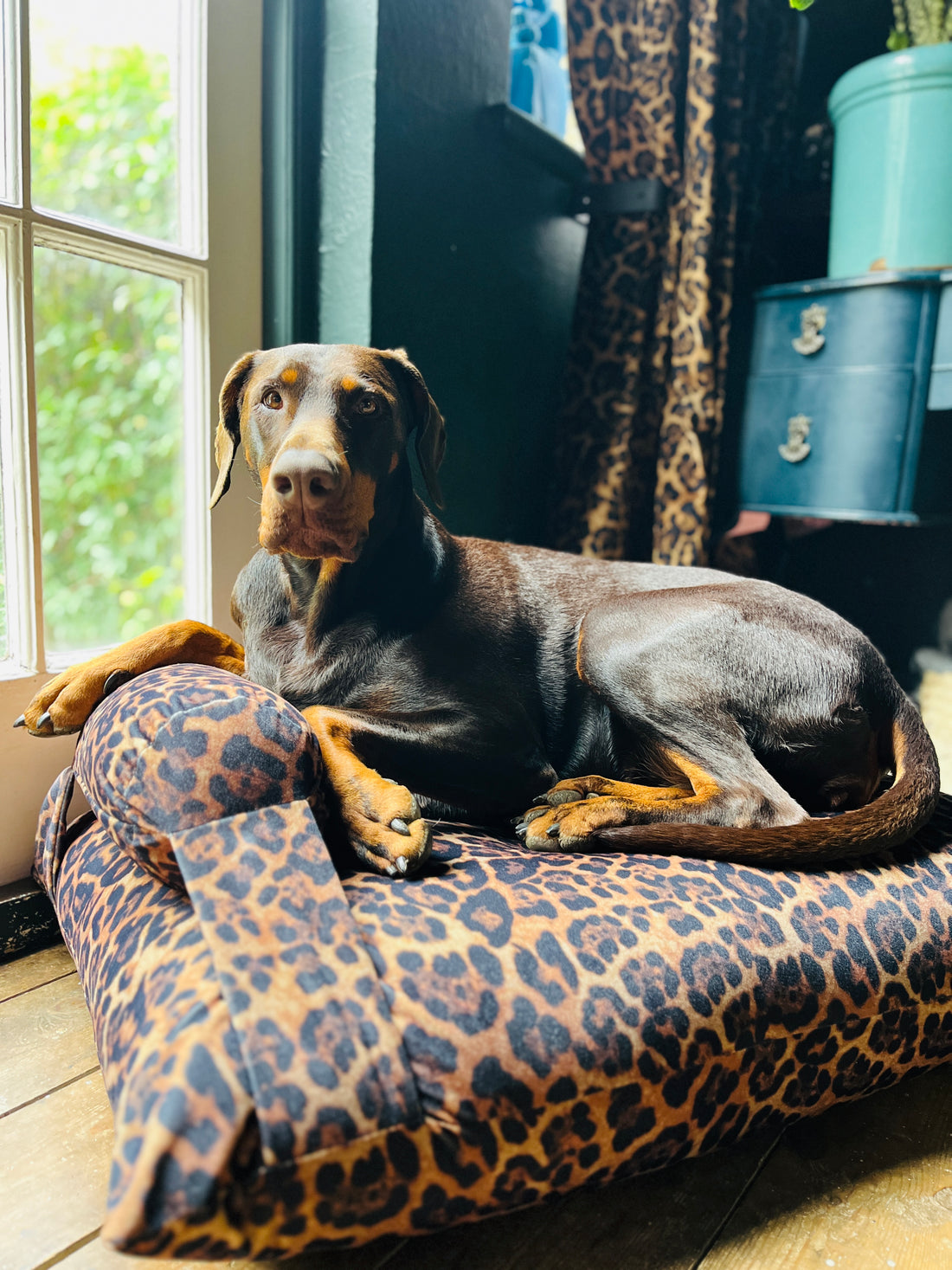 Handmade Luxury Leopard Print Velvet Dog Bed | 3 Sizes