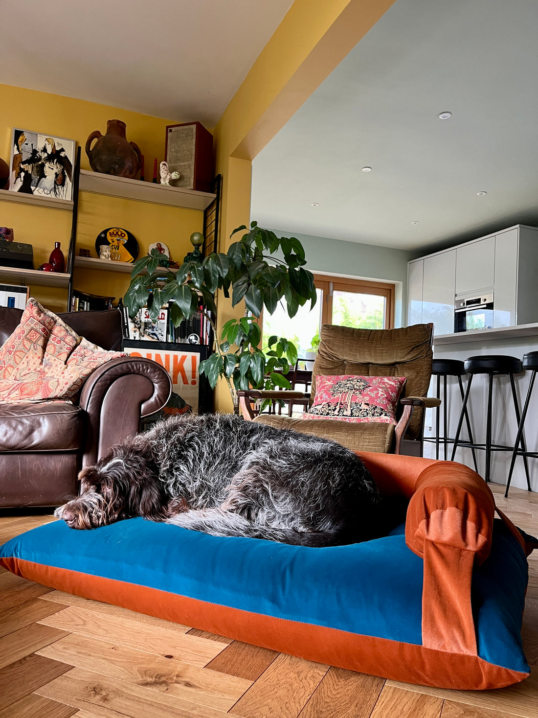 2 COLOUR K-9 CANDY BED