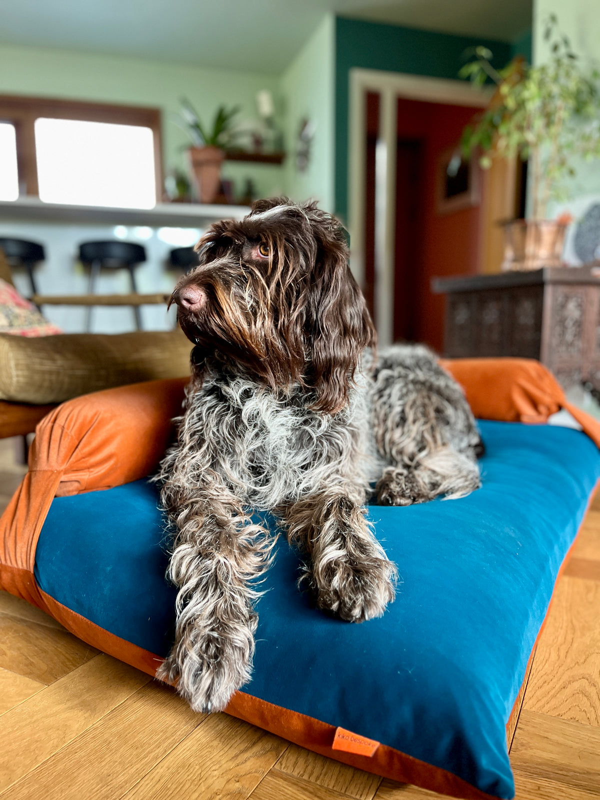 Handmade Luxury Velvet Dog Bed | Teal & Rust | Reversible Bolster | 3 Sizes