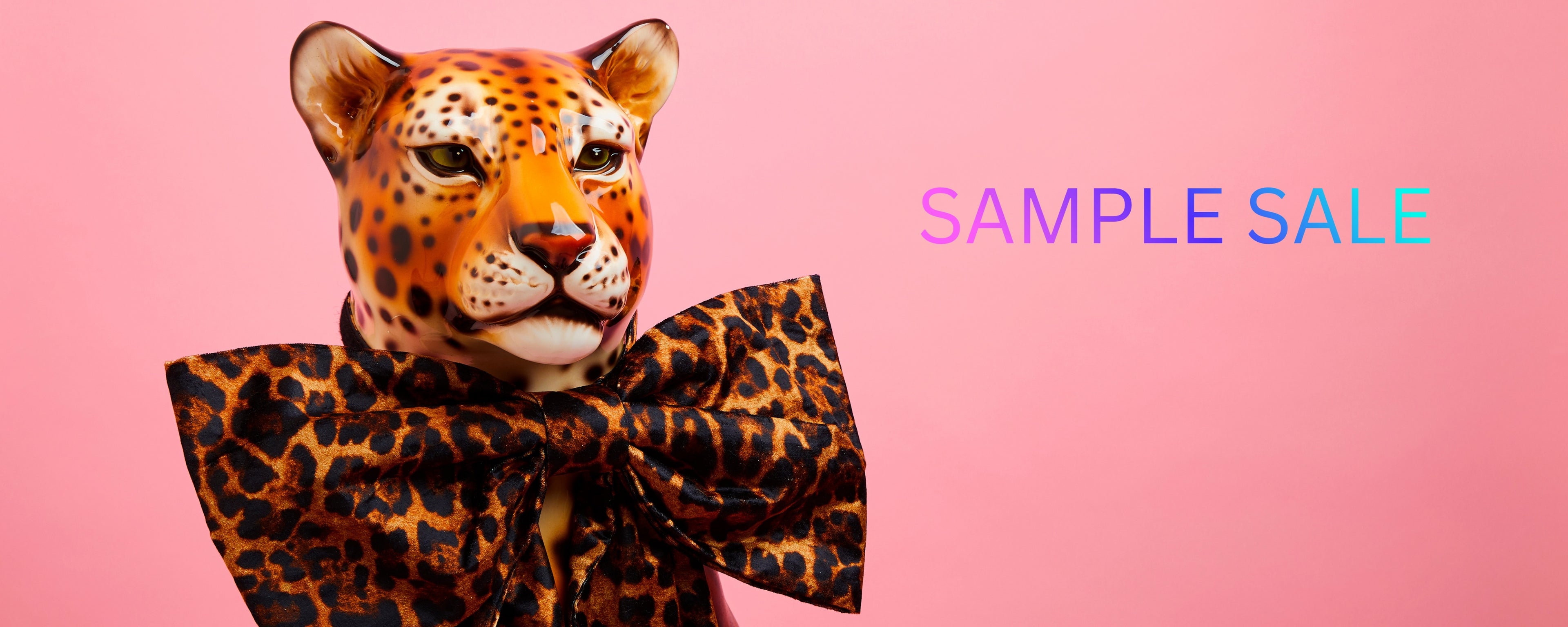 collection-banner-image