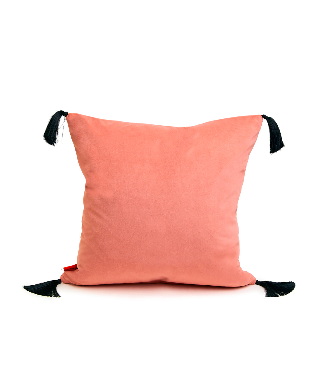 BOLLOCKS CUSHION