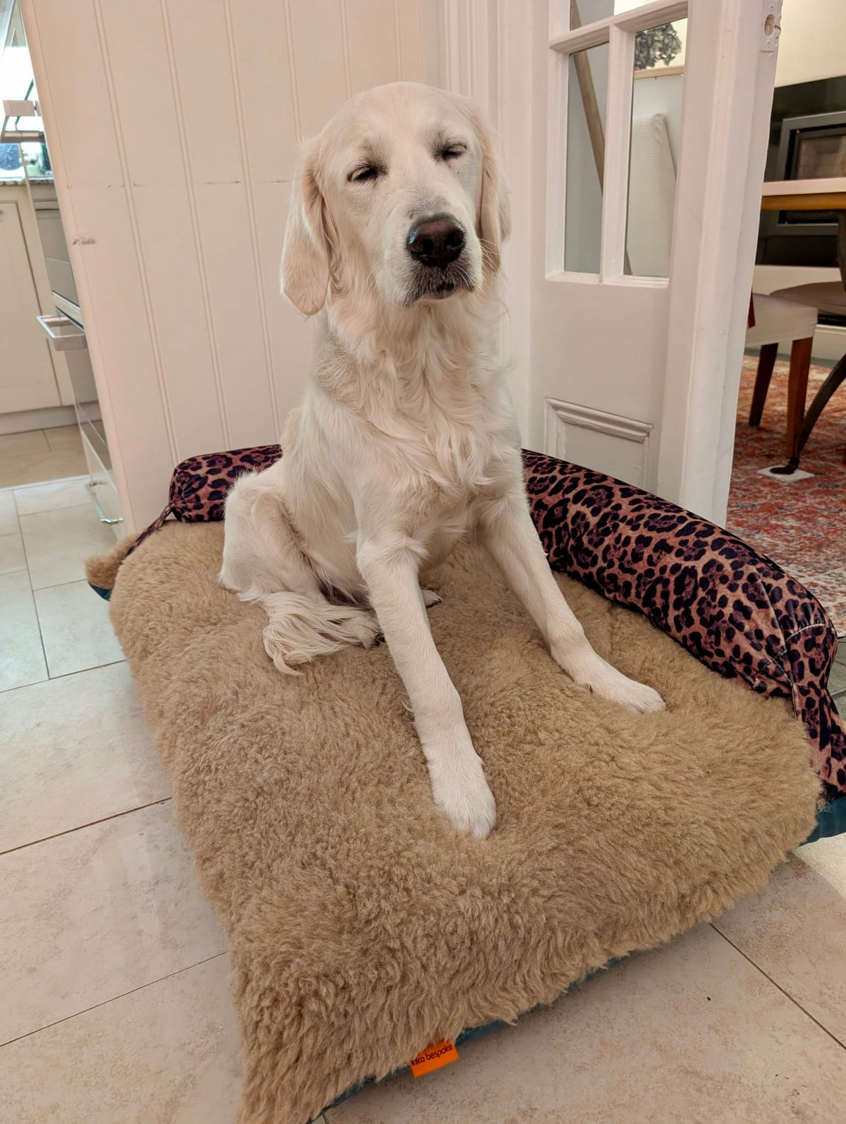 Bespoke Large K-9 Candy Bed With Wool Top - All Bespoke Pieces Are Priced on Request